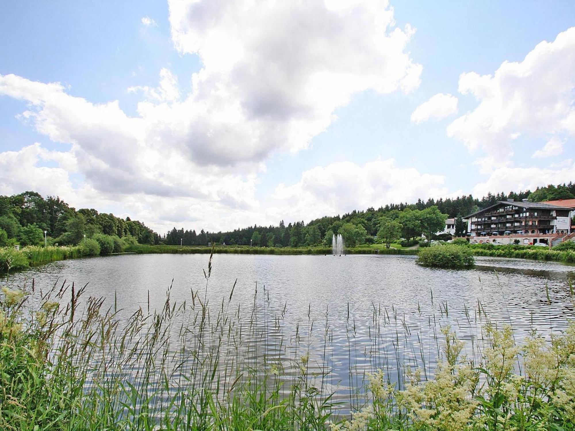 Ferienwohnung In Hahnenklee Goslar Exterior foto